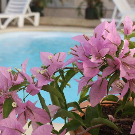 Residence Le Lotus Grand Baie Zewnętrze zdjęcie