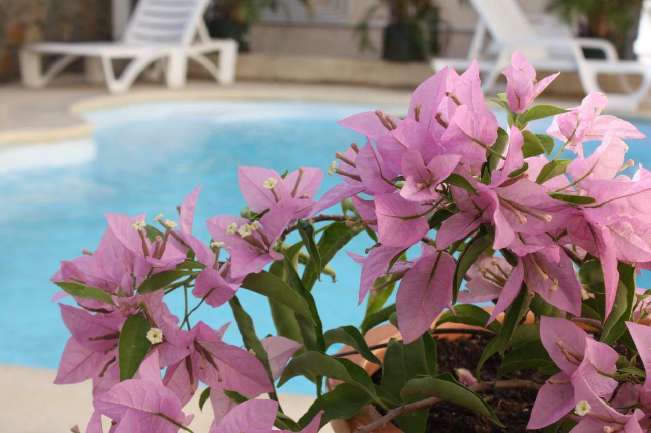 Residence Le Lotus Grand Baie Zewnętrze zdjęcie